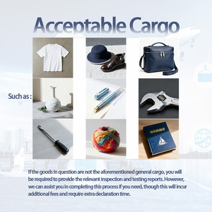 Trasporto Aereo+Espresso da Shanghai all'<span class=keywords><strong>Estonia</strong></span> - DHL/UPS/FedEx, Gestione Merci Pericolose e Spedizione Commerciale Sicura - Product Image 3