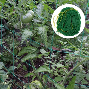 Chất Lượng Cao Nhà Máy Màu Xanh Lá Cây Hỗ Trợ <span class=keywords><strong>Net</strong></span> Polyester HDPE Trellis <span class=keywords><strong>Net</strong></span> Cho Nông Nghiệp Dưa Chuột Đậu Phát Trồng <span class=keywords><strong>Net</strong></span> - Product Image 1