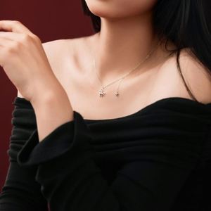 Nouveau design Dylam, collier en argent S925 avec chaîne à maillons, pendentif cheval élément du zodiaque chinois, gland et trèfle à quatre feuilles, accessoire bijou - Product Image 4