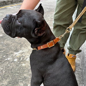 <span class=keywords><strong>Collar</strong></span> de cadena de perro de acero inoxidable de metal personalizado y conjunto de correa disponible al por mayor de lujo personalizado con mango de cuero vegano correas para mascotas - Product Image 3