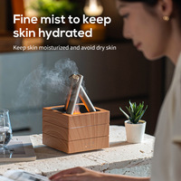 2025 nouveau produit simulé flamme humidificateur parfum Machine soulage la pression purificateur d'air essentiel pour un usage domestique