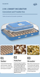 Wonegg precio al por mayor 70 incubadora <span class=keywords><strong>de</strong></span> <span class=keywords><strong>huevos</strong></span> incubadoras totalmente automáticas con bandeja multifuncional <span class=keywords><strong>de</strong></span> <span class=keywords><strong>huevos</strong></span> para incubar todo tipo <span class=keywords><strong>de</strong></span> <span class=keywords><strong>huevos</strong></span> - Product Image 4