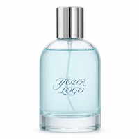 Flacon de parfum en verre à épaule ronde avec logo personnalisé, bouchon en métal argenté, 100 ml, parfum personnalisé, OEM ODM, vente en gros, unisexe