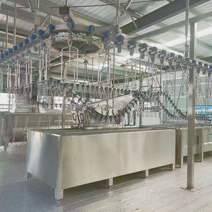 Ligne d'abattage automatique de <span class=keywords><strong>poulet</strong></span> compacte 300-1000 poulets par équipement en acier d'heure pour l'abattoir - Product Image 4