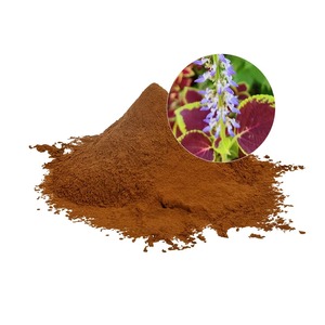 Nhà máy cung cấp chất lượng cao tự nhiên giảm cân <span class=keywords><strong>coleus</strong></span> forskohlii chiết xuất từ rễ 10% <span class=keywords><strong>Forskolin</strong></span> - Product Image 2