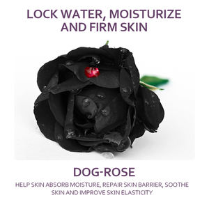 OEM NETST Großhandelspreis Aufhellendes Ausgleichendes Niacinamid Gesichtspflege Vitamin C Gesichtsstraffendes Hautpflege-Serum für Ölige Haut - Product Image 5