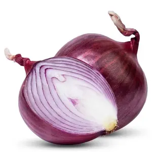 Fresh Red Onion new crops fresh onion vegetable customized packing ODM manufacture