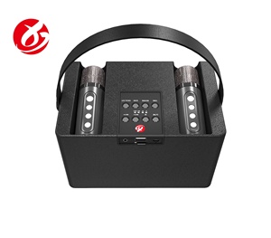En gros, haut-parleur Bluetooth sans fil portable A831 avec double microphone karaoké, stéréo 3D 16W et double micro RGB - Product Image 6