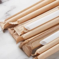 Pailles boba jetables biodégradables écologiques en fibre de bambou PLA en plastique épais, réutilisables et emballées individuellement
