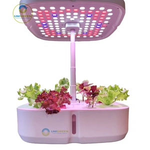 <span class=keywords><strong>Mini</strong></span> pot de fleur hydroponique personnalisable système de culture Microgreen planteur de jardin intelligent intérieur Led élèvent la lumière pour la maison légumes - Product Image 1