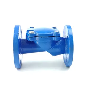 Pn16 Check Valve DN100 PN16 ASIN Cast Iron Flapper Type Check Valve