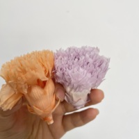 Bunga Anyelir Putih Pink Merah Asli Awet 4cm 4-5cm Grosir Yunnan untuk Hari Ibu Hari Valentine