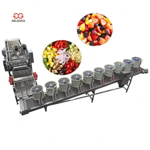 Fruit And Vegetable Salad Washer And Sorting Washing Machines And Drying Machines For Fruits