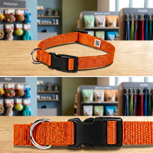 Collier pour chien en nylon professionnel avec clip à dégagement rapide, vente en gros par Divine International - Product Image 1