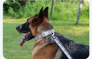 Collier de chien de luxe à approvisionnement direct collier de dressage durable en polyester réfléchissant en lin pur pour petits chiens de taille moyenne - Product Image 6