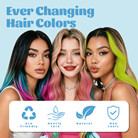 Poudre de craie capillaire temporaire vibrante pour cheveux normaux, sans danger pour les enfants et les adultes, idéale pour Halloween, le cosplay et les anniversaires