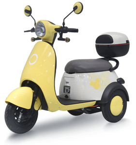Tricycle pliable pour passagers, scooter de loisirs pour adultes 60V - Product Image 5