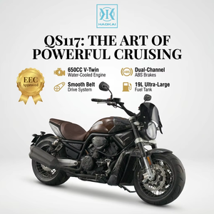 <span class=keywords><strong>Moto</strong></span> Cruiser <span class=keywords><strong>EURO</strong></span> 5 650CC à Refroidissement Liquide, Norme d'Émissions, Vitesse Maximale 95km/h, Transmission par Courroie, Haute Puissance 41KW - Product Image 1