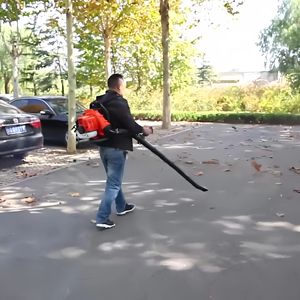 Jujube Leaf <strong>Gas</strong> Backpack Gasoline Turbo air Jet Leaf Ego Snow <strong>Blower</strong> - Product Image 5