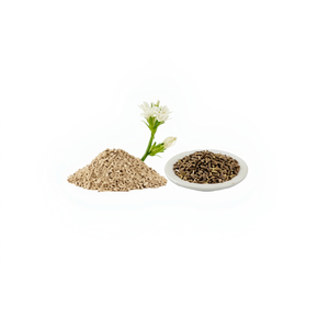 Poudre d'extrait de racine de Cichorium Intybus, Inuline naturelle, Complément alimentaire à base de plantes, Séché à l'air chaud, Utilisation toute saison - Product Image 1
