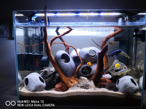 Cueva <span class=keywords><strong>de</strong></span> Cría para Camarones <span class=keywords><strong>de</strong></span> Cerámica <span class=keywords><strong>de</strong></span> Alta Calidad al por Mayor, Cueva para Plecos - Product Image 2