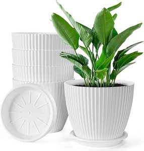 <span class=keywords><strong>Macetas</strong></span> <span class=keywords><strong>de</strong></span> Flores <span class=keywords><strong>de</strong></span> Estilo Nórdico, <span class=keywords><strong>Macetas</strong></span> Decorativas <span class=keywords><strong>de</strong></span> Plástico <span class=keywords><strong>para</strong></span> Jardinería con Drenaje y Platillo, <span class=keywords><strong>Diseño</strong></span> <span class=keywords><strong>de</strong></span> Rayas <span class=keywords><strong>para</strong></span> <span class=keywords><strong>Plantas</strong></span> <span class=keywords><strong>de</strong></span> Jardín - Product Image 6