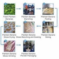 Productielijn voor plantainbananenchips, drogen, malen, groene bananen schillen, plantainpoeder en meel maken.