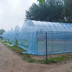 <span class=keywords><strong>Bâche</strong></span> transparente en Lona à prix avantageux, <span class=keywords><strong>200</strong></span> <span class=keywords><strong>microns</strong></span>, polyéthylène renforcé - Product Image 4