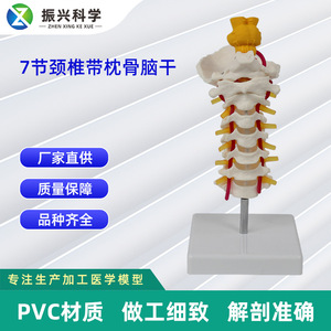 7 - Product Image 5