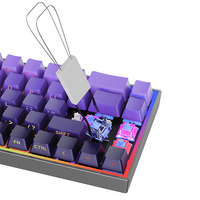 Customized Blue-switch Mechanical Keyboard 68 Keys Wired Portable Light Mixing for Office Work Gaming Side-printed Keycaps