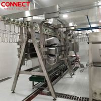 Abattoir automatique Traitement de la volaille Équipement d'abattoir Plucker Scalder Système d'abattage des poulets de chair