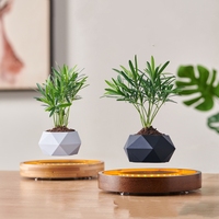 Prix usine Fleur Artificielle Pot De Plante Flottante Cadeaux De Noël Magnétique Lévitation Bonsaï Pot Décoration Cadeaux