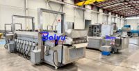 Ligne de friture industrielle pour chips de pommes de terre, machine à friture continue à gaz pour une production de snacks à grande échelle en usine