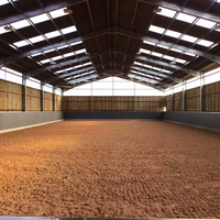 Cobertizo de metal Edificio prefabricado Estructura de acero Almacén Ingeniería prefabricada Arena de equitación cubierta Entrenamiento de caballos