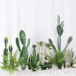 Plástico Artificial bebé yuca <span class=keywords><strong>Cactus</strong></span> verde Barbary Fig decoraciones Poinsettia Amaryllis árboles tela Color verde claro - Product Image 4