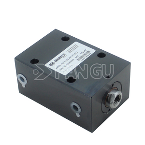 Cilindro Idraulico MERKLE BZW500.32-20.33.201.025ENWm in Acciaio Inox a Doppia Azione Cromato Duro, Potenza 500W, Pressione 150 - Product Image 5