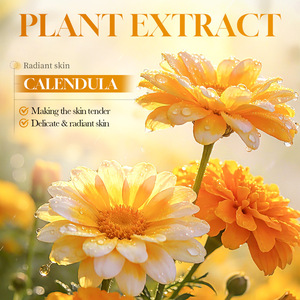 ชุดผลิตภัณฑ์บำรุงผิวหน้าคาเลนดูล่า 6 ชิ้น ช่วยบำรุงผิวอย่างอ่อนโยน เหมาะสำหรับผิวแพ้ง่าย ช่วยปรับสมดุลความมัน ให้ผิวเปล่งปลั่ง ฟื้นฟูผิว - Product Image 2