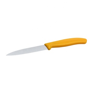 Vendita calda 3Cr13 <span class=keywords><strong>in</strong></span> <span class=keywords><strong>acciaio</strong></span> inox 2pcs coltello <span class=keywords><strong>da</strong></span> <span class=keywords><strong>bistecca</strong></span> con manico ergonomico <span class=keywords><strong>in</strong></span> plastica - Product Image 4