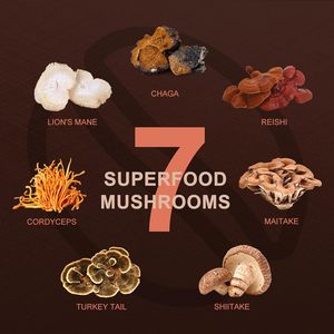 निजी लेबल कॉर्डिइसेप्स रीशी चागा शेर मैन्ने तत्काल मशरूम कॉफी पाउडर - Product Image 2