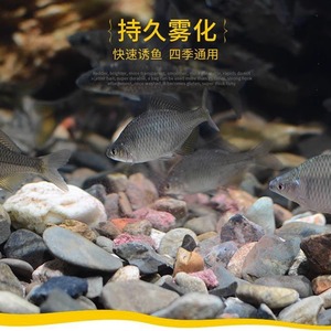 Stream Fishing Bait Pellet 250g Durable Granular For Crucian Carp Chub Whitebait - Product Image 5