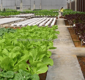 Aeroponic Vertical Hydroponic Kit Growing System NFT Gutter - Product Image 6