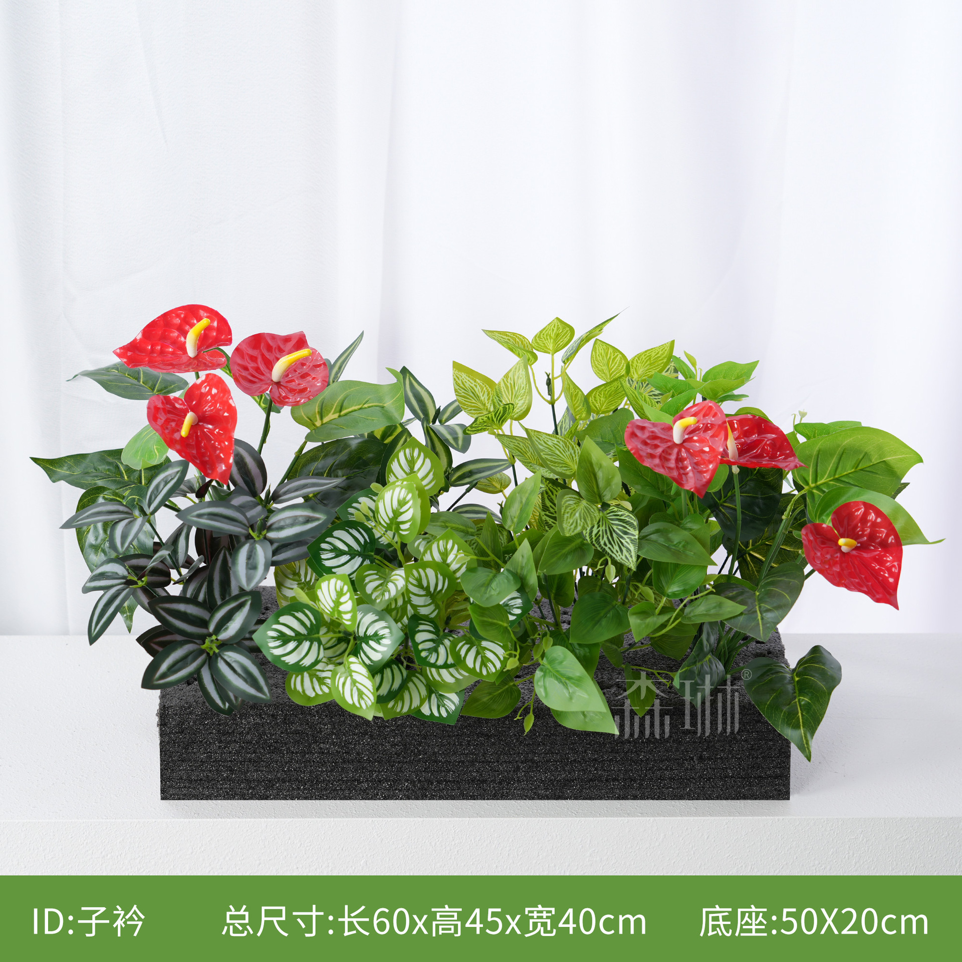 Zijin [Convient aux jardinières de 60 cm]