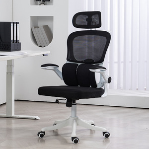 Ergonomic Office <b>Chair</b> With Flip Armrest And Reclining Function For Home Office <b>Study</b> Use - Product Image 1