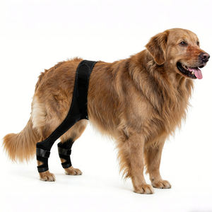 Soporte Ajustable para Rodillas de Perro, para Perros Pequeños y Grandes, Soporte para Patas Delanteras y Traseras, Alivio del Dolor, Recuperación de Lesiones, Funda Protectora para Patas de Mascotas - Product Image 1