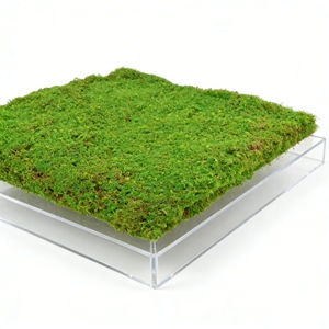 Decoración de Musgo al por Mayor, Arte de Musgo Personalizable de Alta Calidad para Decoración de Paredes de Sala de Estar, Dormitorio y Hogar - Product Image 2