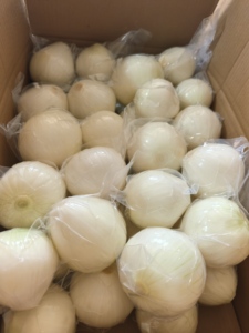 Semillas de Cebolla Blanca Híbrida F1 de Primera Calidad para Plantar, Alta Germinación, Semillas Frescas de Cebolla de Primavera para Agricultura - Product Image 5