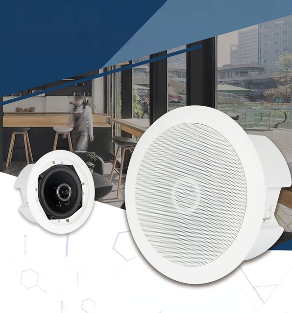 Tianlai 717 In-Ceiling Speaker for Background Music 110V Speaker Indoor Ceiling Speakers for Meeting PA System