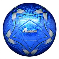 Ballon de football en PVC personnalisé n°5 pour entraînement intérieur/extérieur, certifié CE, couleur personnalisable