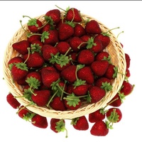 Fraises artificielles géantes en plastique, simulation de fraises, fruits artificiels réalistes, faux fruits de cuisine, décoration de la maison