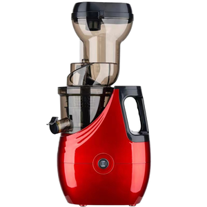 Extractor de Uso Doméstico, Exprimidor de Frutas de Acero Inoxidable y Exprimidor de Zanahorias, Procesador Lento, Autolimpiante - Product Image 1